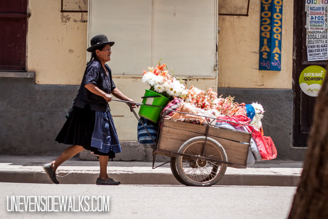 Lady Selling Flowers from a Little Hand-Pushed Wagon